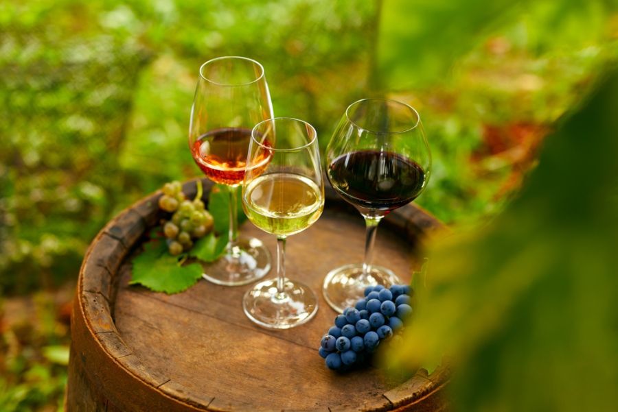 Vini tipici del veneto rossi bianchi e rosé